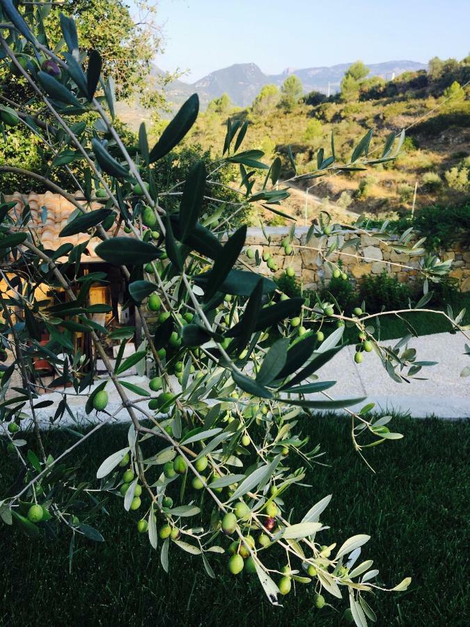 B&B Normanna Dolceacqua Ngoại thất bức ảnh